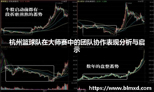 杭州篮球队在大师赛中的团队协作表现分析与启示