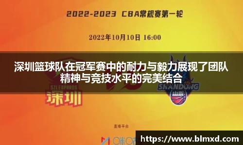 深圳篮球队在冠军赛中的耐力与毅力展现了团队精神与竞技水平的完美结合
