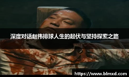 深度对话赵伟排球人生的起伏与坚持探索之路