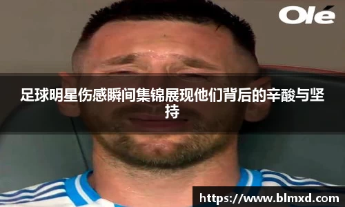 万博max首页
