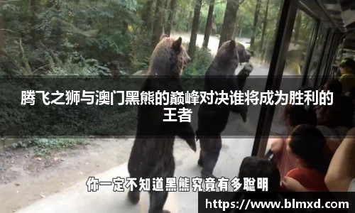 万博max首页